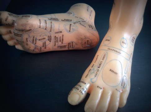 13771591083_f94c4874b1_o