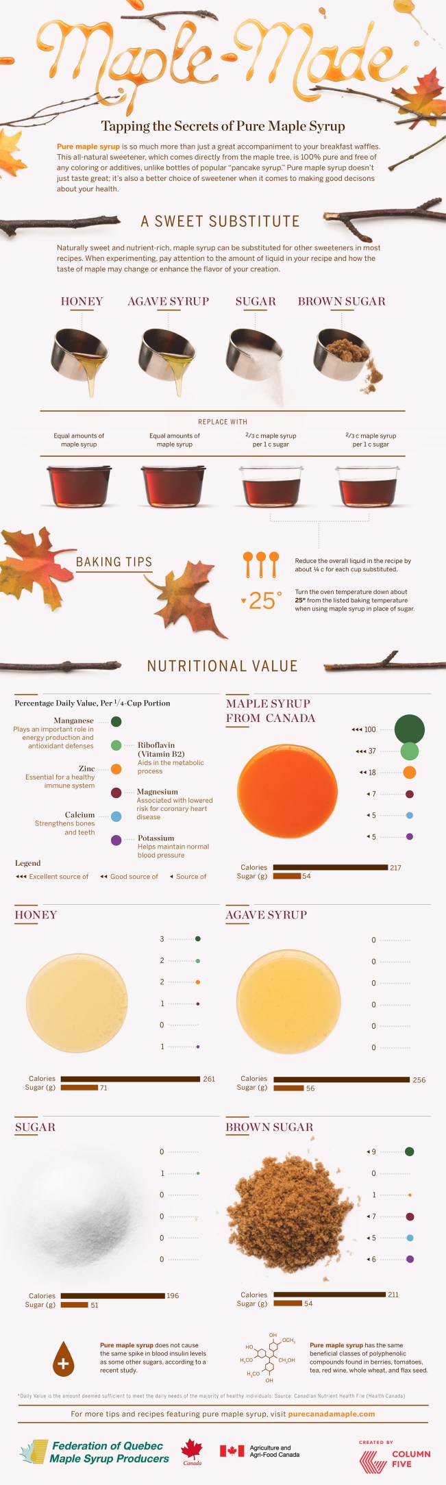 maple-sugar-alternative-infogrpahic-lg (1)
